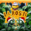 Rosin By Rue de la Boulette